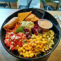 Aristotel Bowl big at Copper Branch in Nice