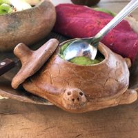 This tortuga come bearing guacamole. at CocoFam in Puerto Escondido