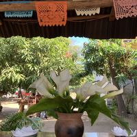 Beautiful atmosphere at CocoFam in Puerto Escondido