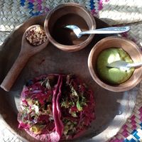 Pink taco 2 at CocoFam in Puerto Escondido