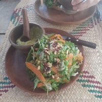 Taco verde vegano at CocoFam in Puerto Escondido