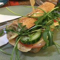 Sandwich Gezond at blends in Rotterdam
