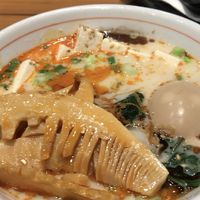 spicy creamy vegan + bamboo + egg at JINYA Ramen Bar in Katy