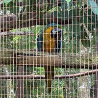   at Alturas Wildlife Sanctuary in Dominical