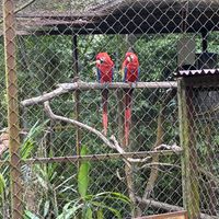   at Alturas Wildlife Sanctuary in Dominical
