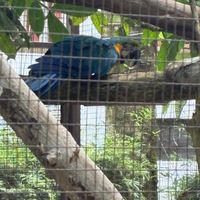  at Alturas Wildlife Sanctuary in Dominical