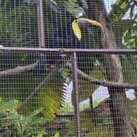   at Alturas Wildlife Sanctuary in Dominical