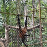   at Alturas Wildlife Sanctuary in Dominical