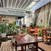   at Coffee Station in Phong Nha