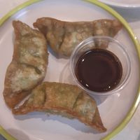 Veg gyoza at YO! Sushi in Liverpool