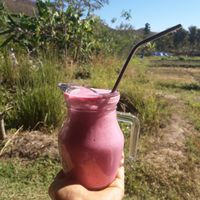 dragonfruit mango banana coconut yogurt shake at Thai Zen Farm in Pai
