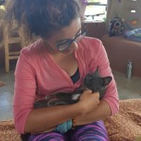 The ever so friendly cat at Thai Zen Farm in Pai