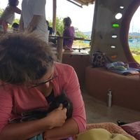 Loved strokies at Thai Zen Farm in Pai