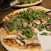   at Woodstone in Alphen Aan Den Rijn