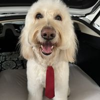   at Krakatoa  in Hollywood