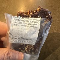   at Society Café in Bristol