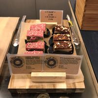 Raw bites at Society Café in Bristol