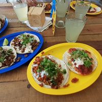 The best vegan tacos we've ever had! So much flavour. We tried every flavour. at Mango Blues in La Paz