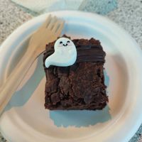  at Magpies  in Bruges