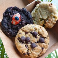  at Magpies  in Bruges