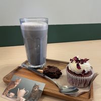   at Catberry in Ghent