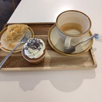  at Catberry in Ghent