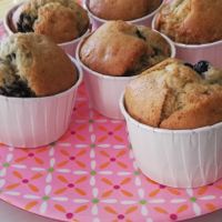 Bosbes muffins at Catberry in Ghent