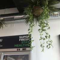 lots of greenery🌿 at Green Gorilla in Lausanne