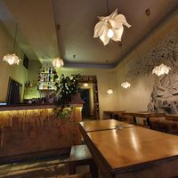 Inside the Sunshine at Sunshine Vegan Restaurant in Berlin