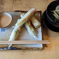 Summer rolls with "shrimp" at Sunshine Vegan Restaurant in Berlin