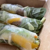 Seitan Spring Roll  at Sunshine Vegan Restaurant in Berlin