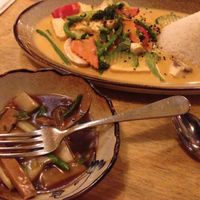 Tofu with Curry at Sunshine Vegan Restaurant in Berlin