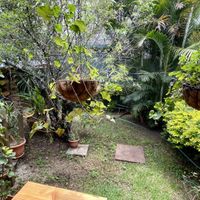 Nice atmosphere   at Lavka in Guatemala City