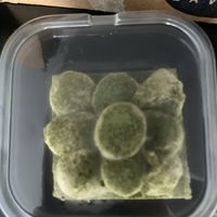 Macha cheesecake  at Lavka in Guatemala City