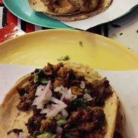  at Gracias Madre in Mexico City