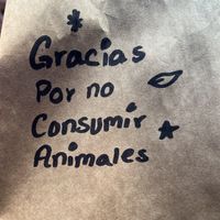   at Gracias Madre in Mexico City