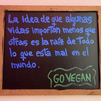   at Gracias Madre in Mexico City