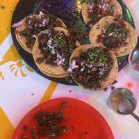 yummmyyyyy  at Gracias Madre in Mexico City