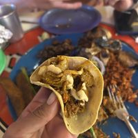   at Gracias Madre in Mexico City