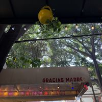   at Gracias Madre in Mexico City
