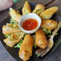 Spring rolls at Jai-Dee Home  in Koh Lanta