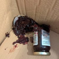  at Alternative Stores - Online store in North Shields