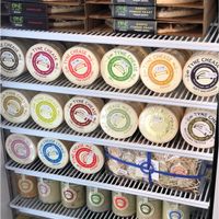 All flavours of Tyne chease at Alternative Stores - Online store in North Shields