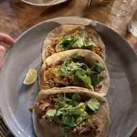 Jackfruit tacos  at The Hideout in Unawatuna
