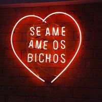  at Casa de Nara in Joao Pessoa