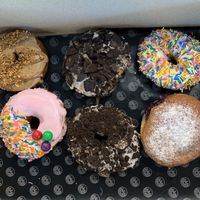 Praline, Bubblegum, Cookie, Vanilla, and Blueberry - all vegan! at Beiko in Quebec