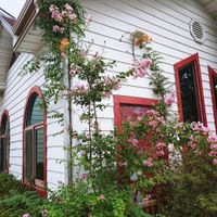 The exterior on the way to rear parking lot during Summer 2024 at Tteul Ahn Chae in Suwon