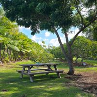  at Kahuku Farms Cafe in Kahuku