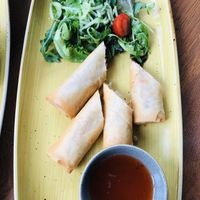 Vegan groente loempia’s   at Slot Oostende in Goes