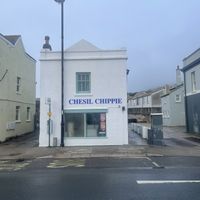 Chesil a hippie  at Chesil Chippie in Portland